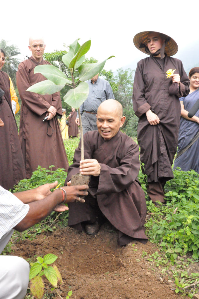 Thây (Thich Nhat Hanh) che pianta un albero