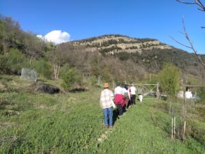 walking meditation